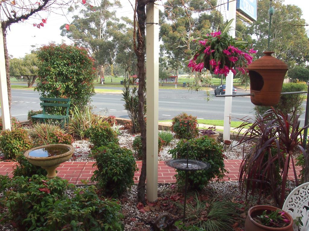 Murray River Motel Swan Hill Exteriér fotografie